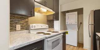 Fiesta Manor Gallery 23