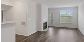 Alvista Bowie Gallery 13