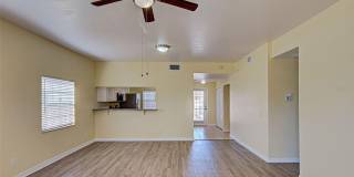 242 BOUNDARY BOULEVARD Gallery 44