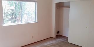 3 Bedroom Home in Hilltop Area Gallery 11