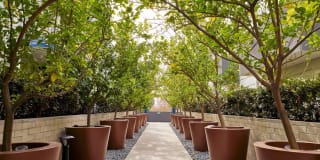 Angelene Apartments Gallery 8