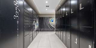 Juno Winter Park Gallery 27