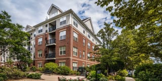 Aven at Newton Highlands Gallery 10