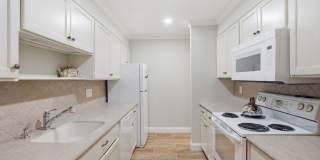 247 Hamilton Avenue Gallery 5