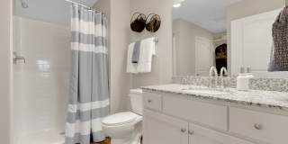 Redwood Amherst Gallery 10