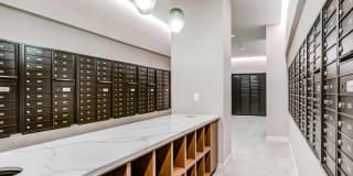 The Chestnut Gallery 14