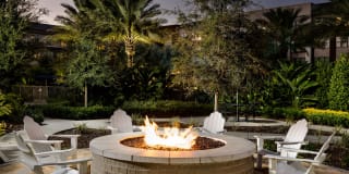 Arcadia Dr. Phillips Arcadia Dr. Phillips Gallery 32