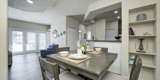 Autumn Chase Gallery 29