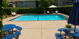 Beautiful 2-Bedroom Apartment in Desirable San Leandro Gated Community, close to BART Gallery 14