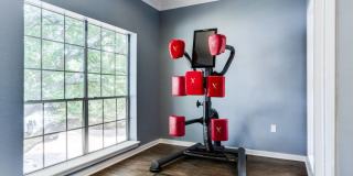 Essex House Gallery 5