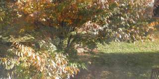 20382 FARMGATE Terrace Gallery 25