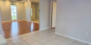 Cute Annual Single Family Home – Near Shamrock Park and South Venice Ferry and Boat launch! Gallery 19
