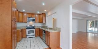 23551 Venisia Gallery 11