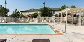 Serengeti Springs Gallery 9