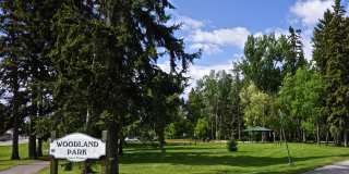 517 Shady Glen Drive Gallery 18