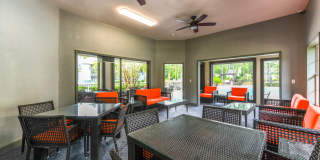 Paradise Island Gallery 34