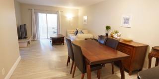 Renovated 2/2 in quite 55+ community Gallery 3