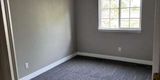 10408 Lone Lynx Gallery 17