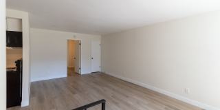 Paloma E32 LLC Gallery 8