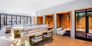 Atlas Gallery 31