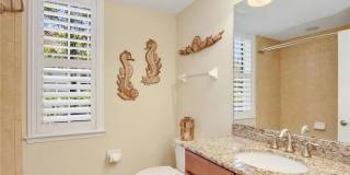 23550 Alamanda Dr Gallery 25