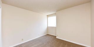 Noah's Landing Gallery 8