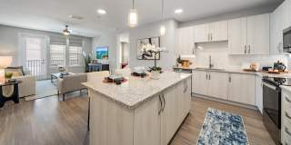 Mira at Palmer Ranch - 55+ Senior Living Community Gallery 17