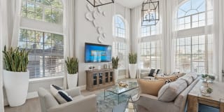 10X Port Royale 10X Port Royale Gallery 24