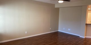 9205 N 59th Avenue Gallery 25