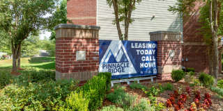 Pinnacle Ridge Gallery 29