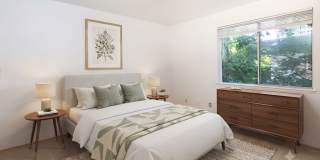 Cedar Park 8 Gallery 6