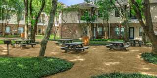Westchase Forest Gallery 33