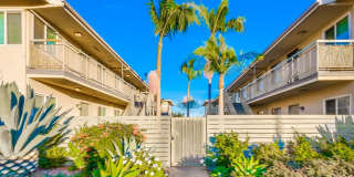 6028 - 6100 West Blvd Gallery 4