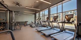 Taryn at 401 Gallery 14