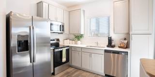 Banyan at 17 North Gallery 4