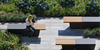 Towers at Longfellow Gallery 42