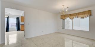 7866 Nautilus Shell Street Gallery 15