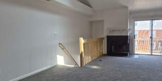 Lake Shores Gallery 4