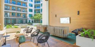 The Anderson Gallery 12