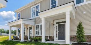 4111 Next Level Trace Gallery 1