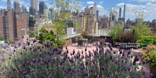 360 West 22nd Street Gallery 10