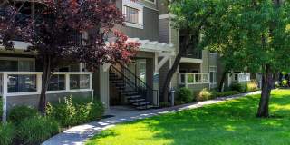 Watermark Place Gallery 9