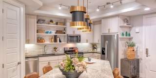 Cortland Biltmore Gallery 4