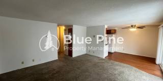 542 Gladstone Street Gallery 4