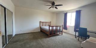 3776 Pintail Dr Gallery 1