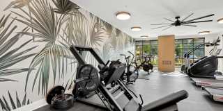 One Noda Park Gallery 35