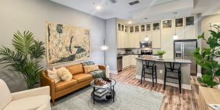 Novus Westshore Gallery 14