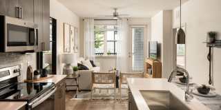 Las Palmas Gallery 15