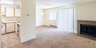 Black Lake Gallery 31