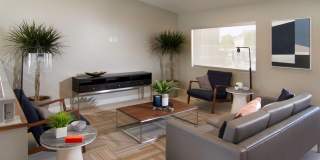 Brighton Place Gallery 4